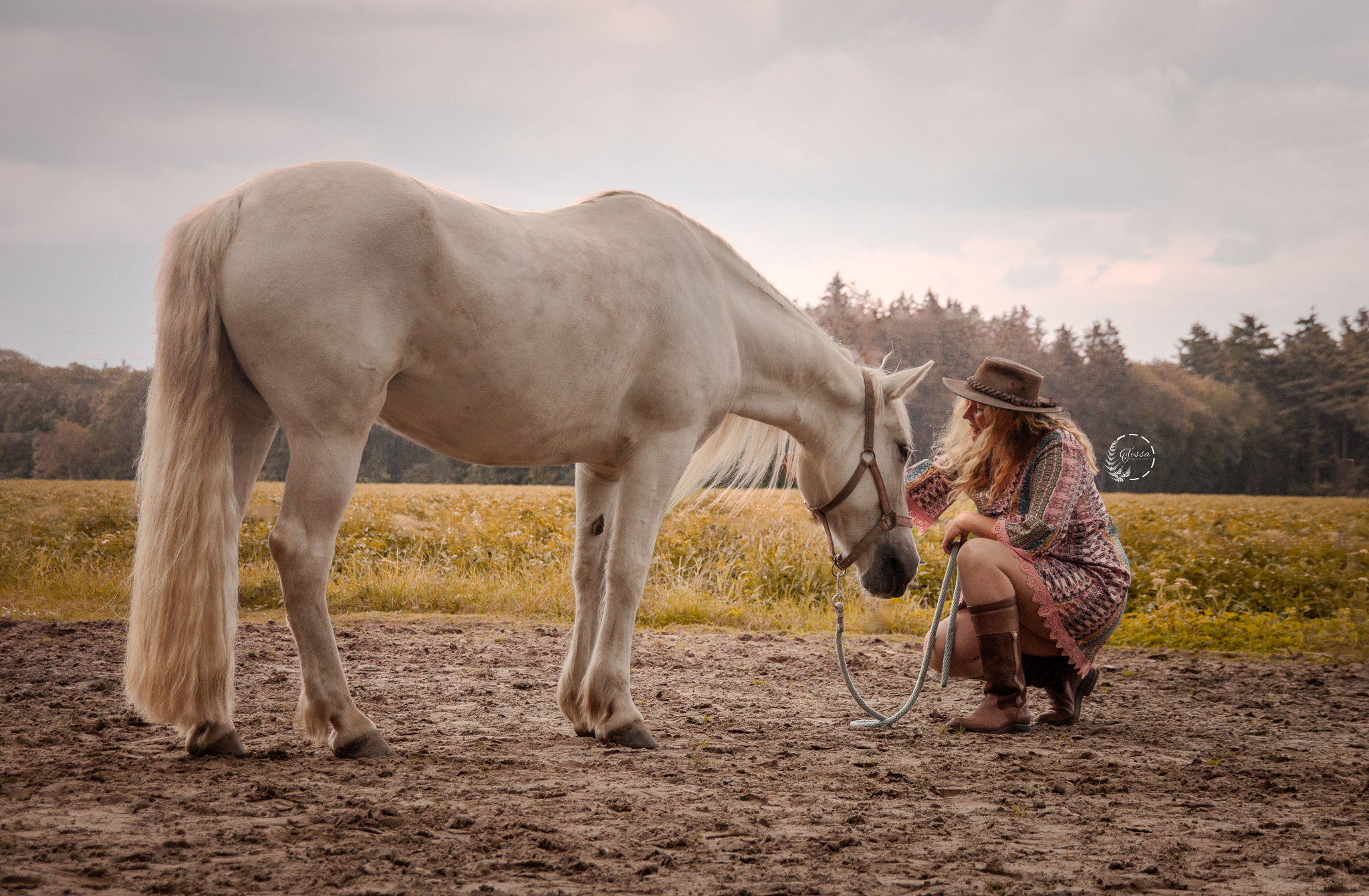 Premium Paardencoaching
