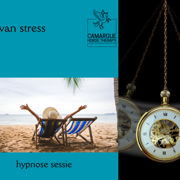 Hypnotherapie : Vrij van Stress