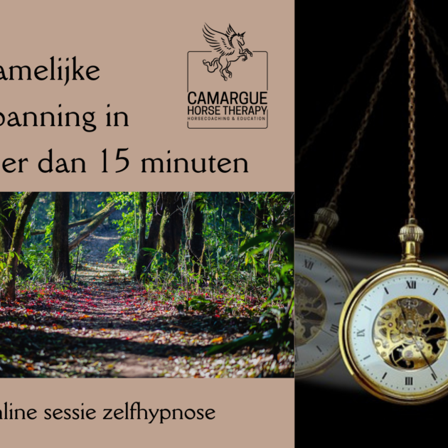 lichamelijke ontspanning in minder dan 15 minuten