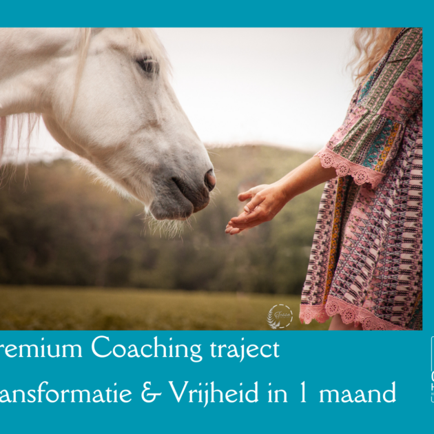 Transformatie & Vrijheid in 1 maand